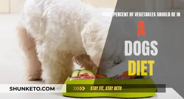 Vegetables for Dogs: How Much is Too Much?