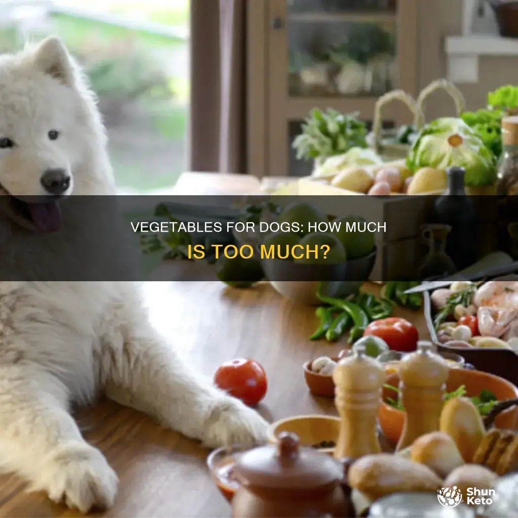 what percent of vegetables should be in a dogs diet