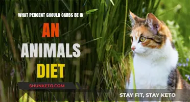 Carbohydrate Ratio for Your Pet's Diet: What's Ideal?