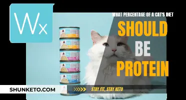Protein for Cats: How Much is Enough?