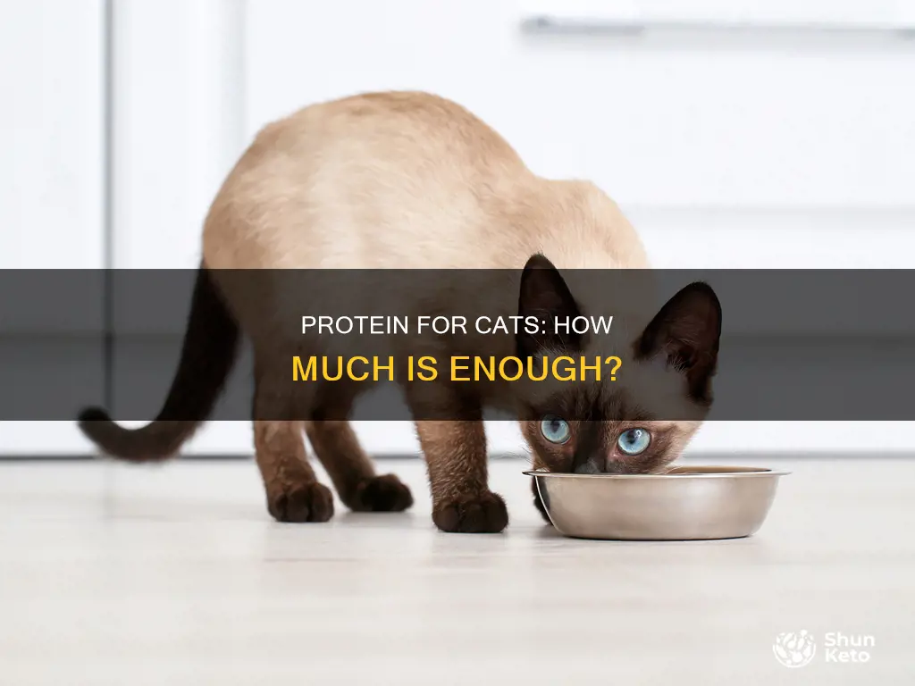 what percentage of a cat