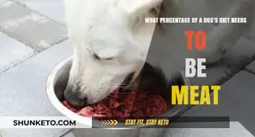 Meat in Dog's Diet: What's the Ideal Percentage?