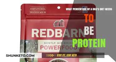 Protein for Pooches: What's the Ideal Percentage?