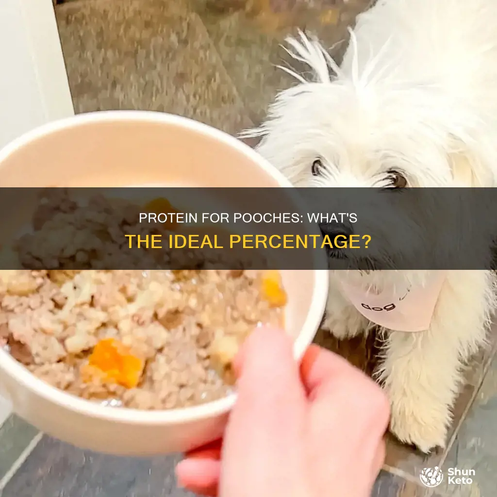 what percentage of a dog