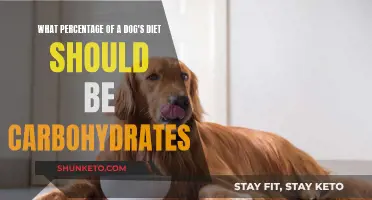 Carbs for Canines: How Much is Healthy?