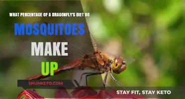Dragonflies' Favorite Food: How Much Mosquitoes Matter?