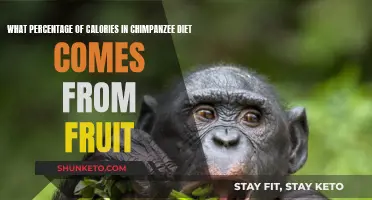 Chimpanzee Diet: Uncovering the Fruit's Share