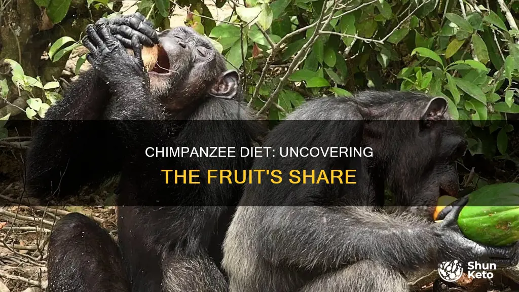 what percentage of calories in chimpanzee diet comes from fruit