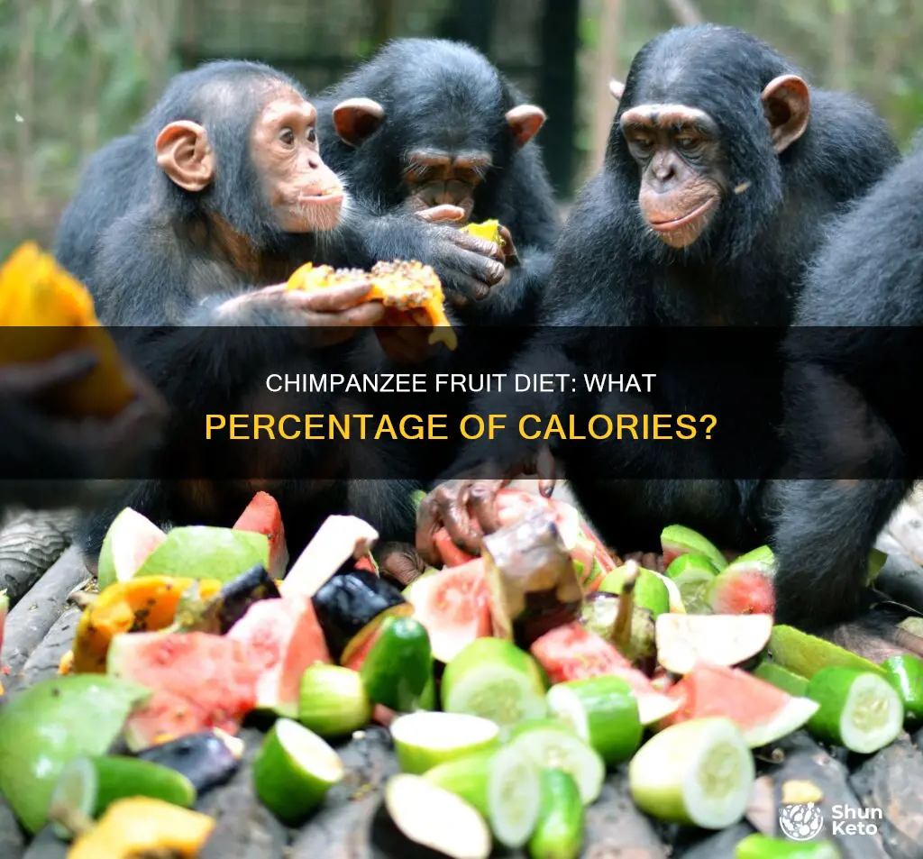 what percentage of calories in chimpanzee diet comes from fruit