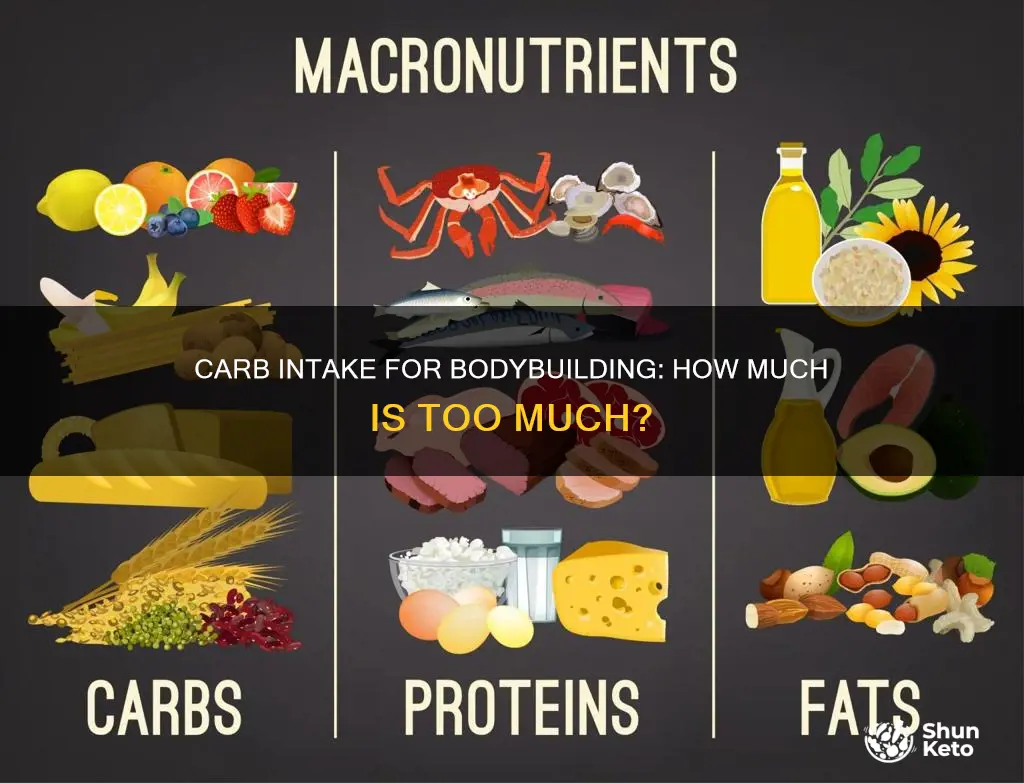 what percentage of diet should be carbs bodybuilding