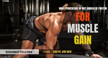 Protein Power: Muscle Gain Diet Percentages Explained