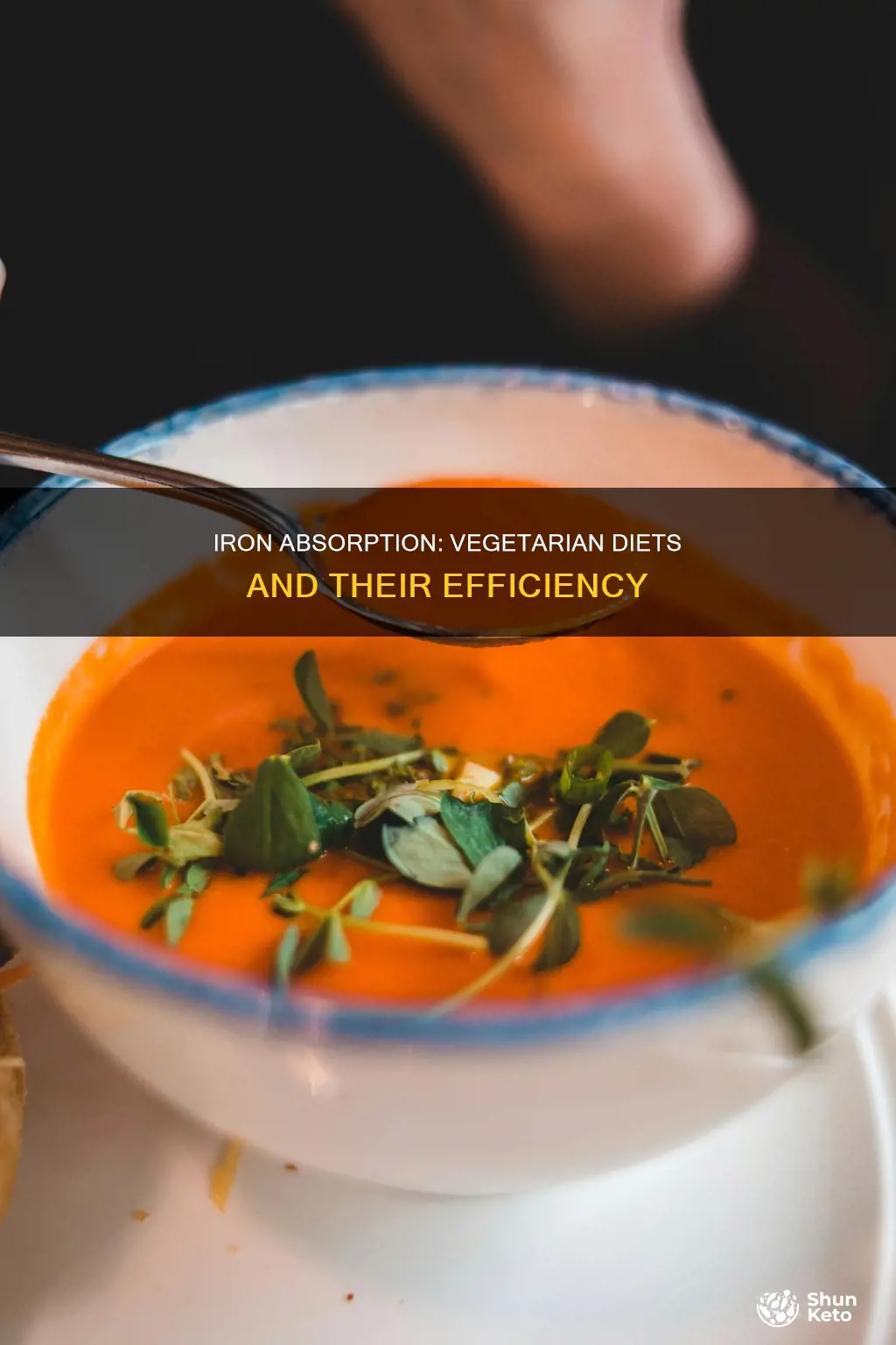 what percentage of dietary iron is absorbed from vegetarian diets