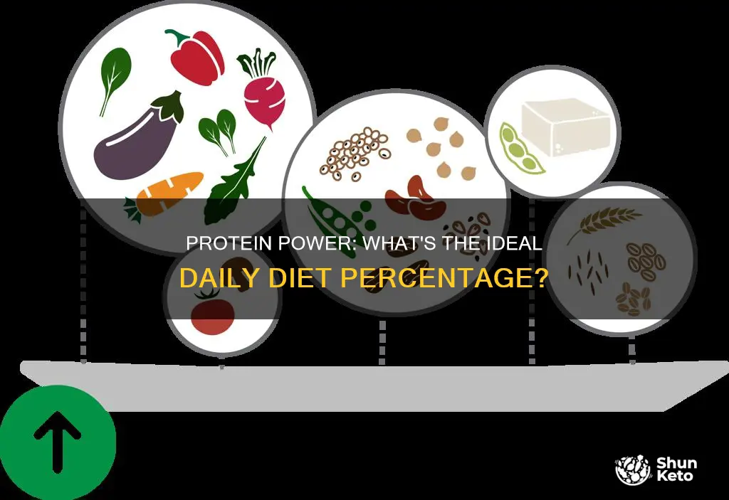 what percentage of our daily diet should consist of protein