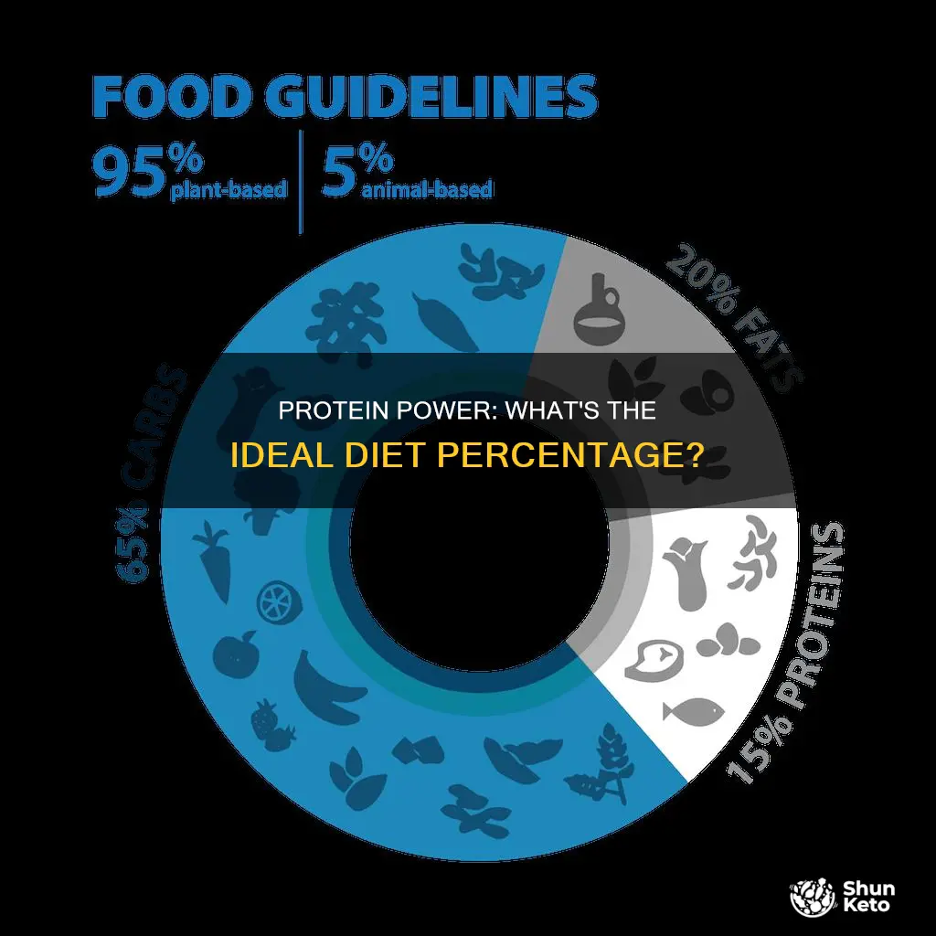 what percentage of the diet should protein make up