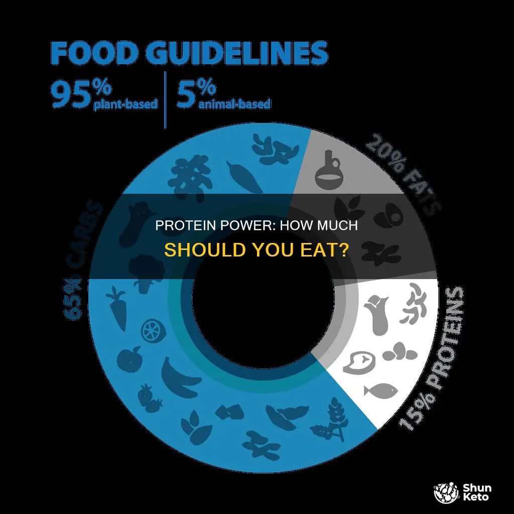 what percentage of your diet should be protein uk