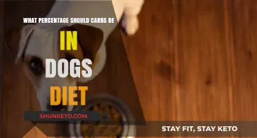 Carb Content in Dog Food: How Much is Too Much?