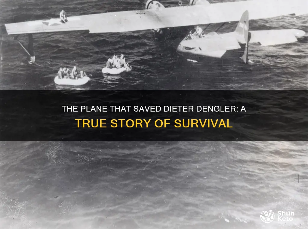 what plane did dieter dengler fly