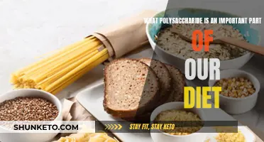 Polysaccharides: Essential Dietary Components for Health