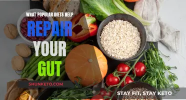 Heal Your Gut: Popular Diets for Gut Health