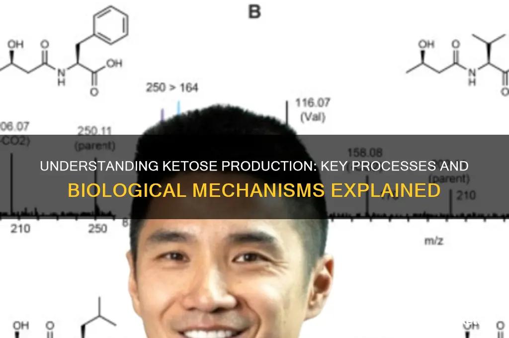 what produces a ketose