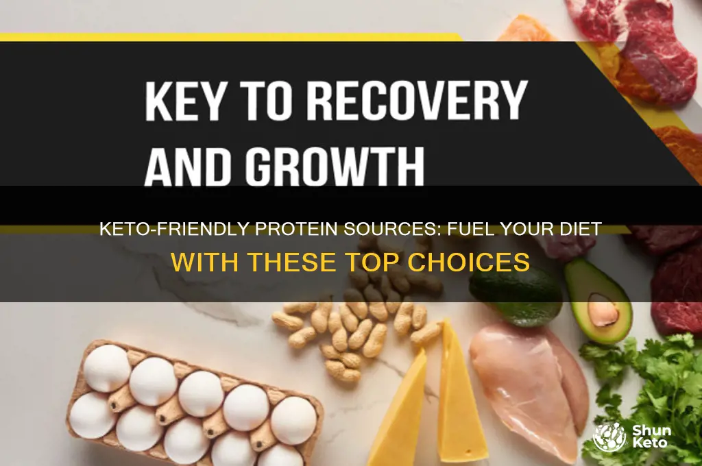 what protein can i have on keto