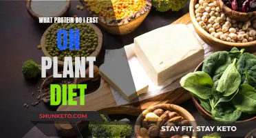 Plant-Based Protein Sources: What to Eat and Why