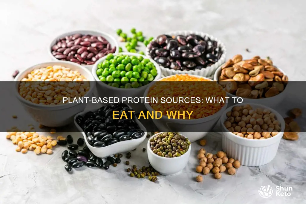 what protein do i east on plant diet