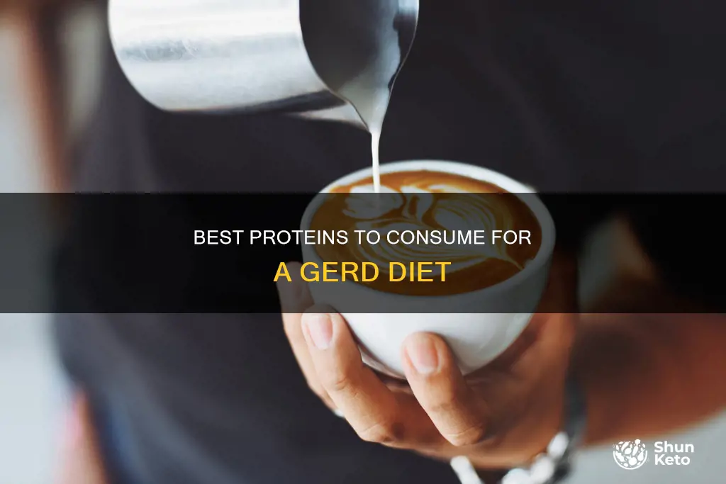what protein isgoodfor gerd diet