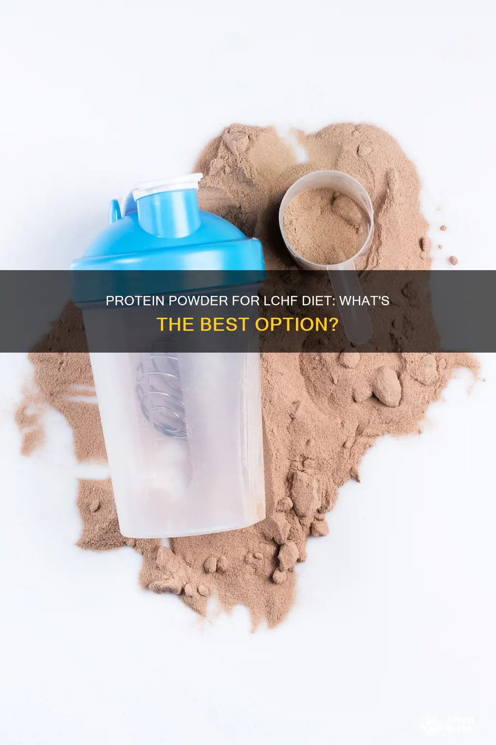 what protein powder should i use lchf diet