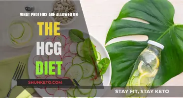 HCG Diet: Understanding Allowed Protein Sources