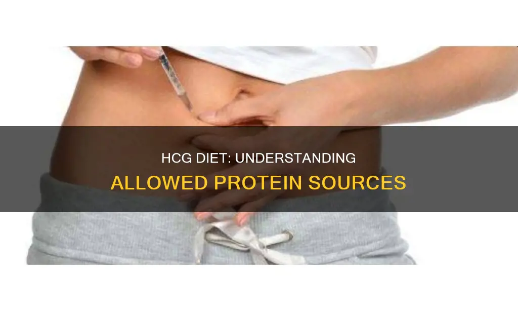 what proteins are allowed on the hcg diet