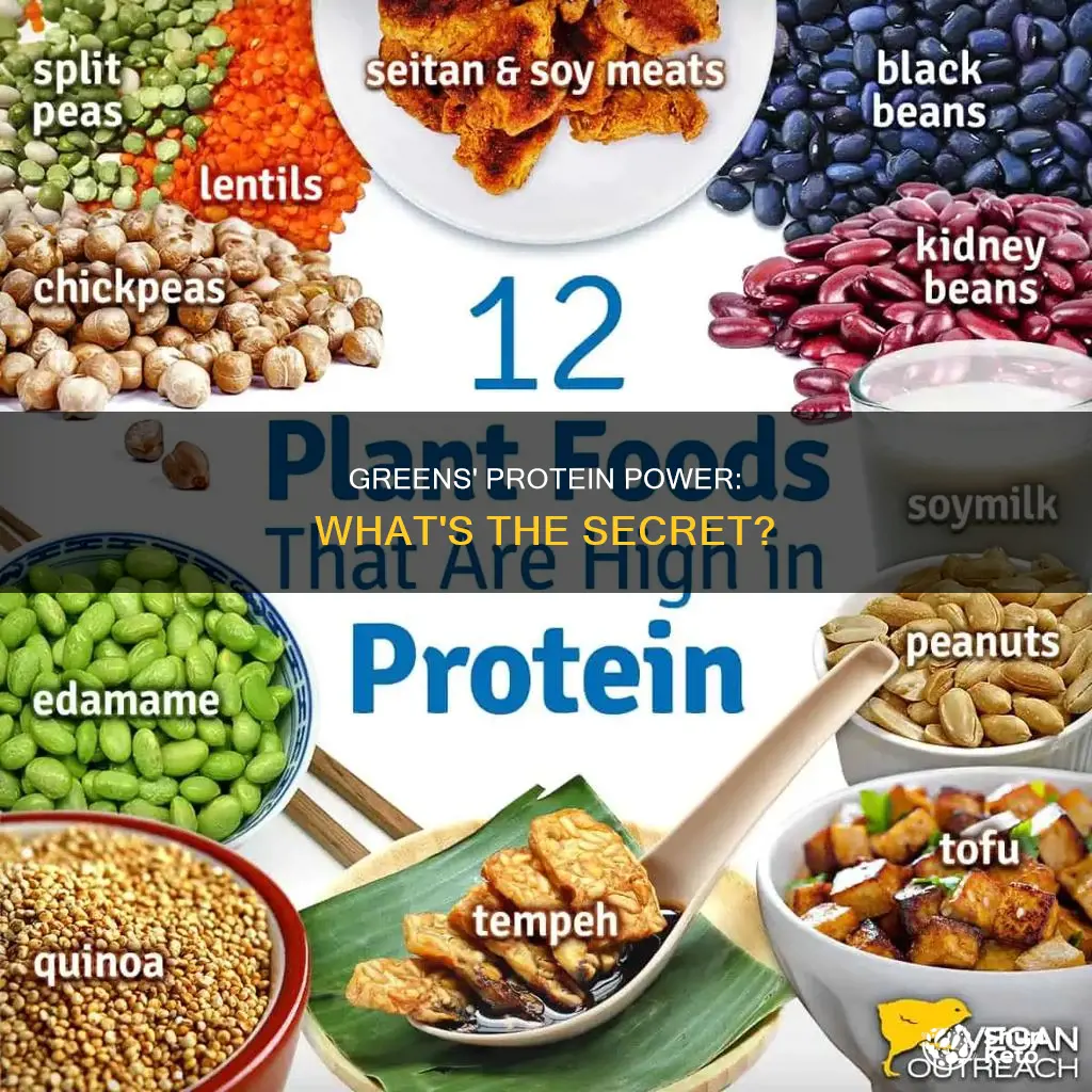 what proteins in gree diet