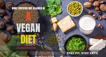 Vegan Protein Sources: What's Allowed?