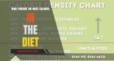Calorie-Dense Foods: What Fuels Your Diet?
