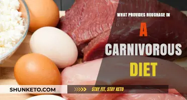 Meat-Based Diets: Sources of Roughage and Fiber