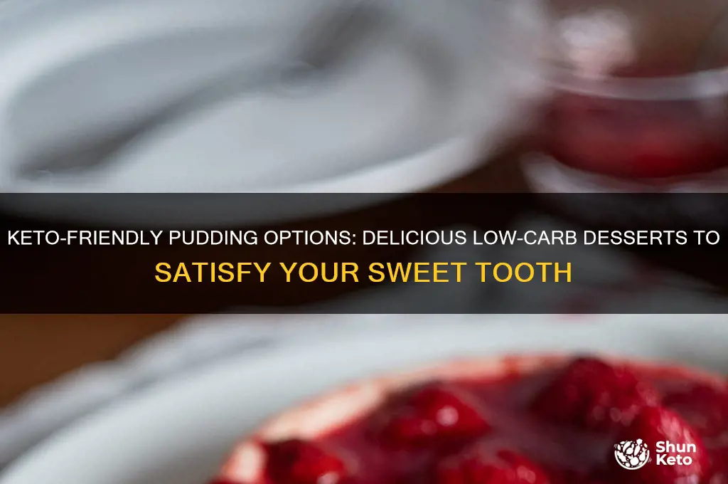 what pudding can i have on keto