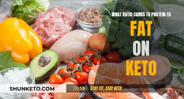 Carbs, Protein, and Fat Ratios on a Keto Diet