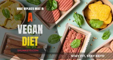 Vegan Diets: Meat Alternatives and Delicious Options