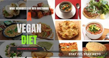 Vegan Diet: Resources for Sustaining a Healthy Lifestyle