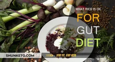 Best Rice Types for a Healthy Gut Diet