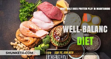 Protein Power: Balancing Your Diet