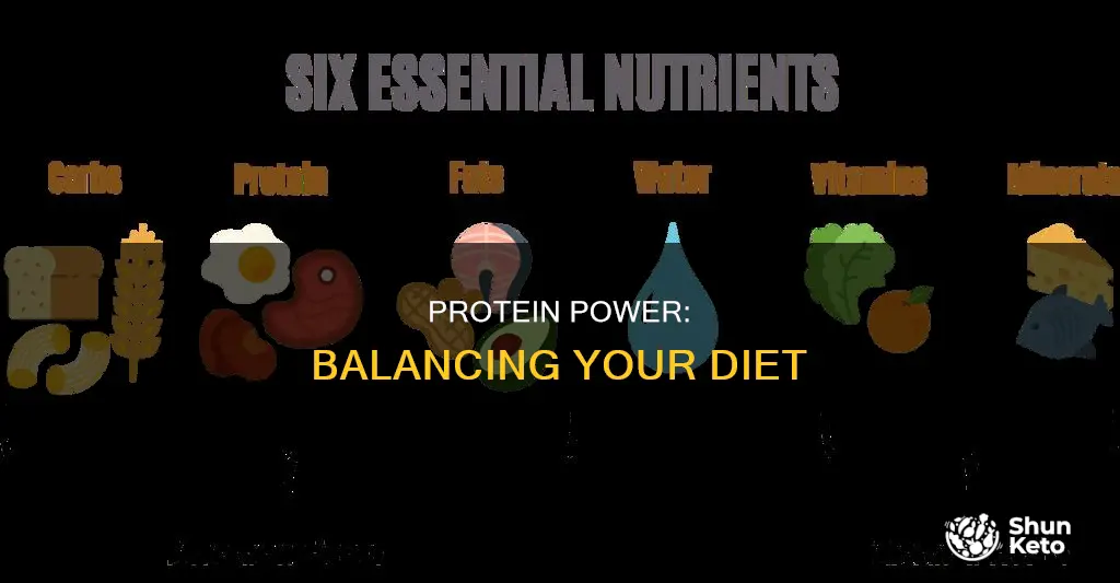what role does protein play in maintaining a well-balanced diet