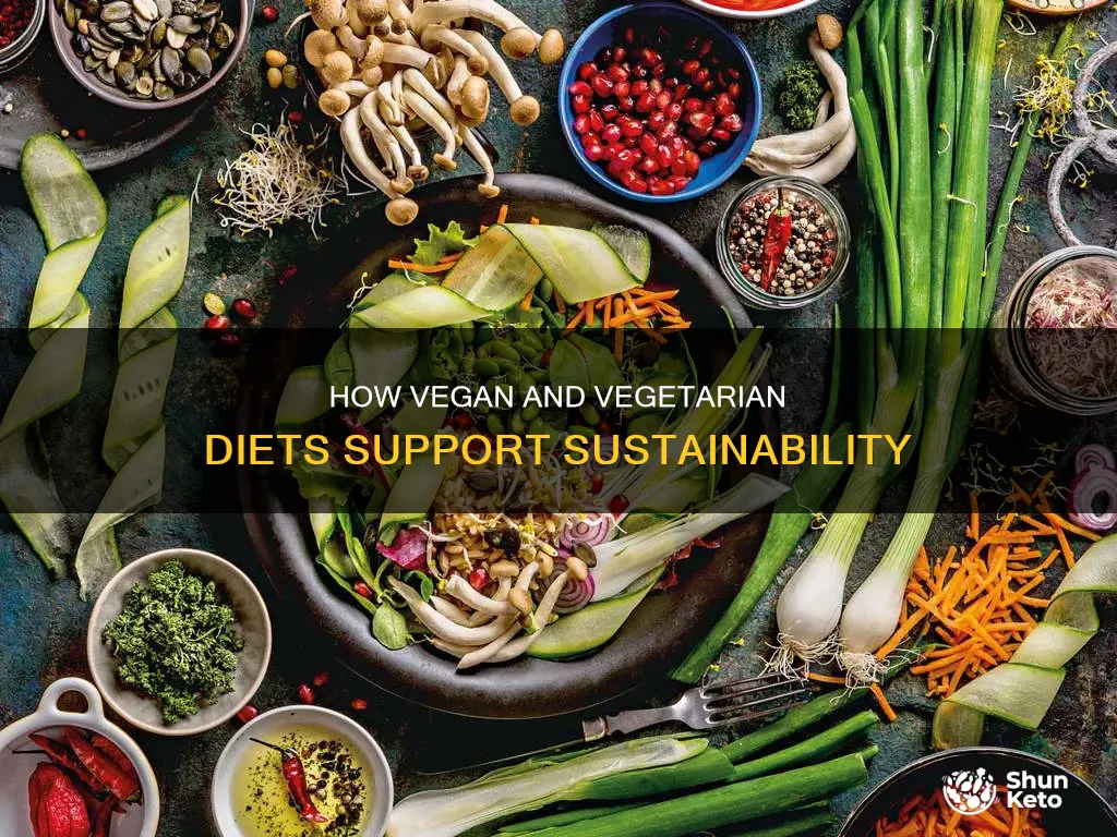 what role is vegitarian or vegan diets in sustainability