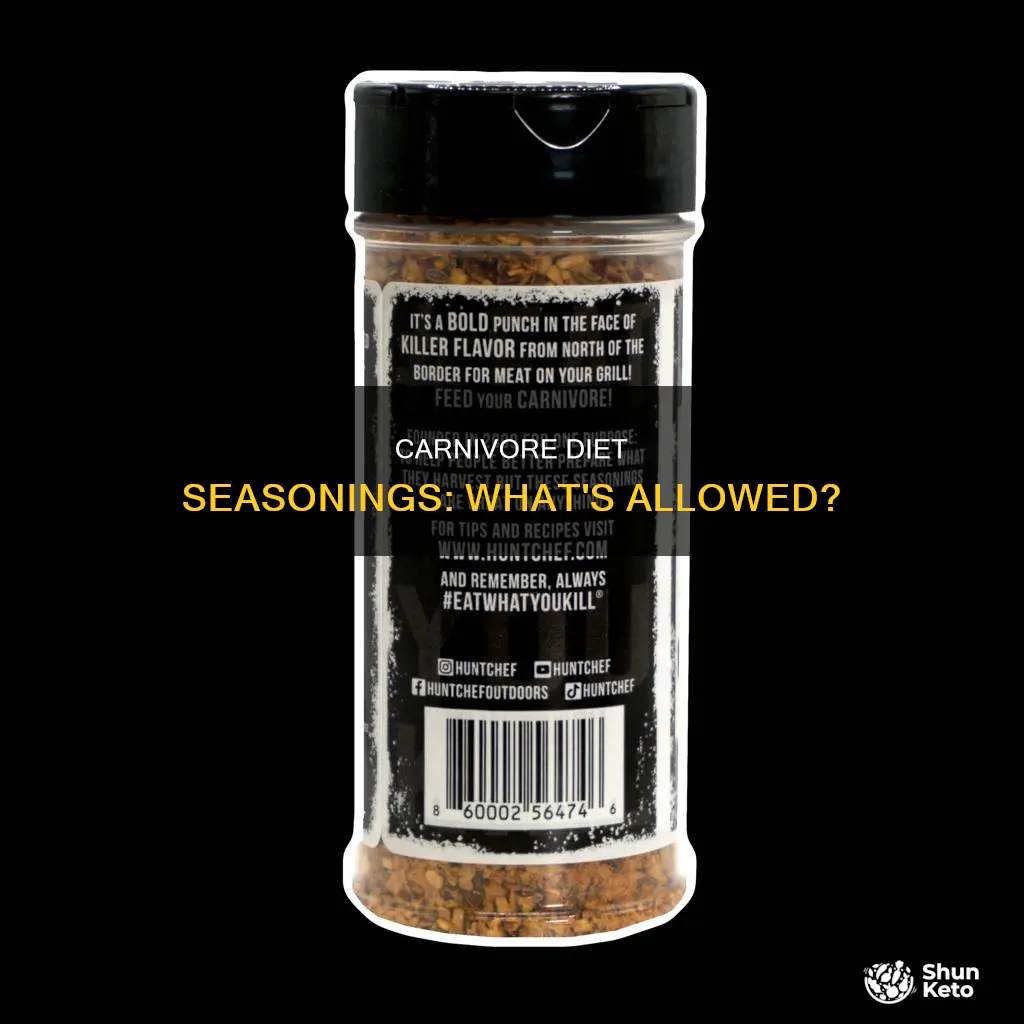 what seasonings on carnivore diet