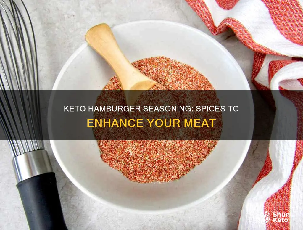 what seasonings should we use for keto hamburger meat