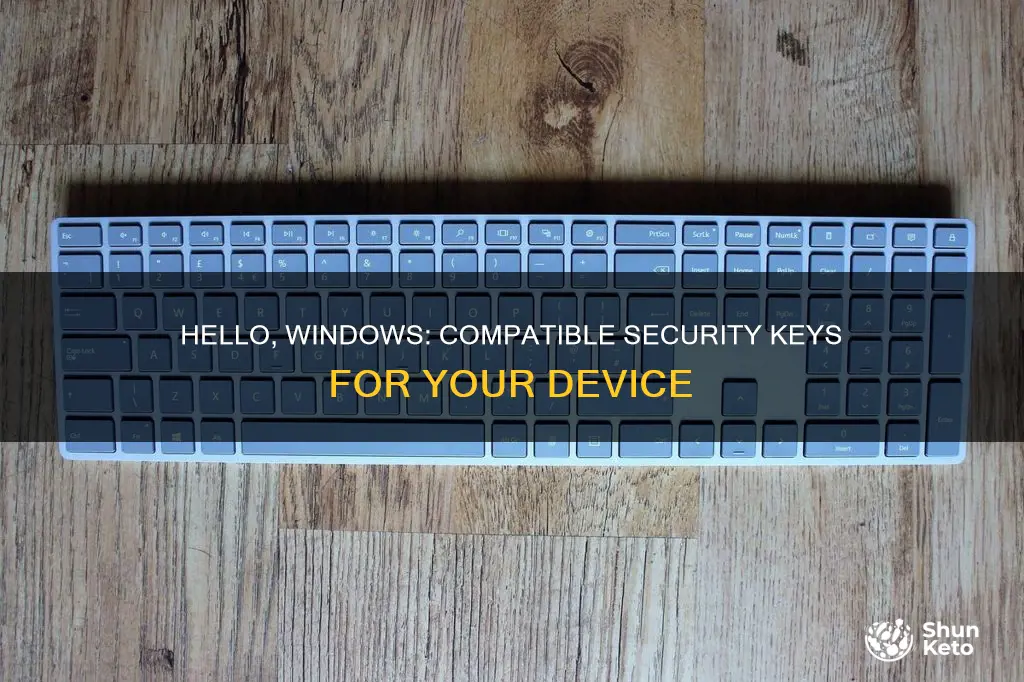 what security kets work with windows hello