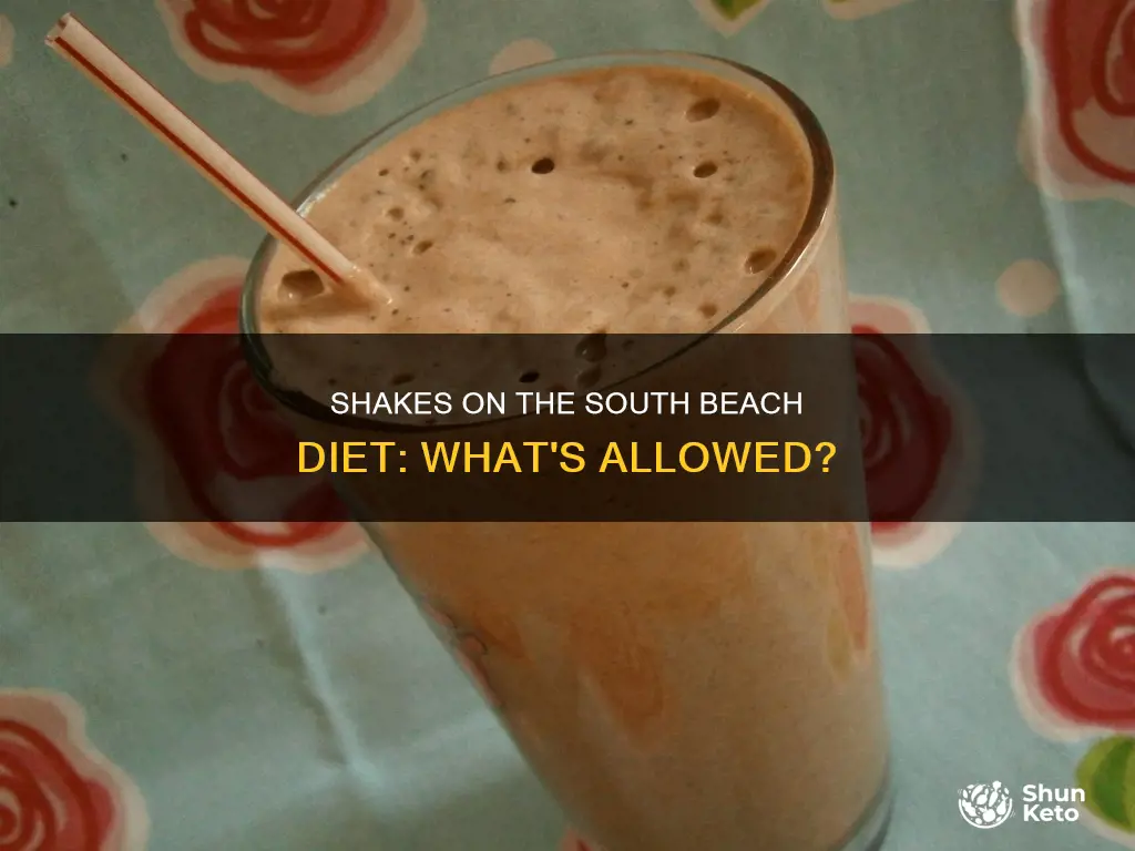 what shakes are allowed on the south beach diet