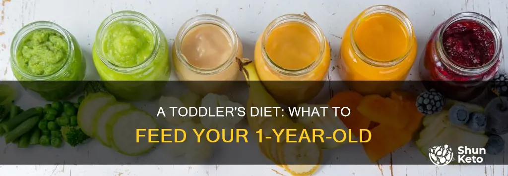 what should a 1 year old