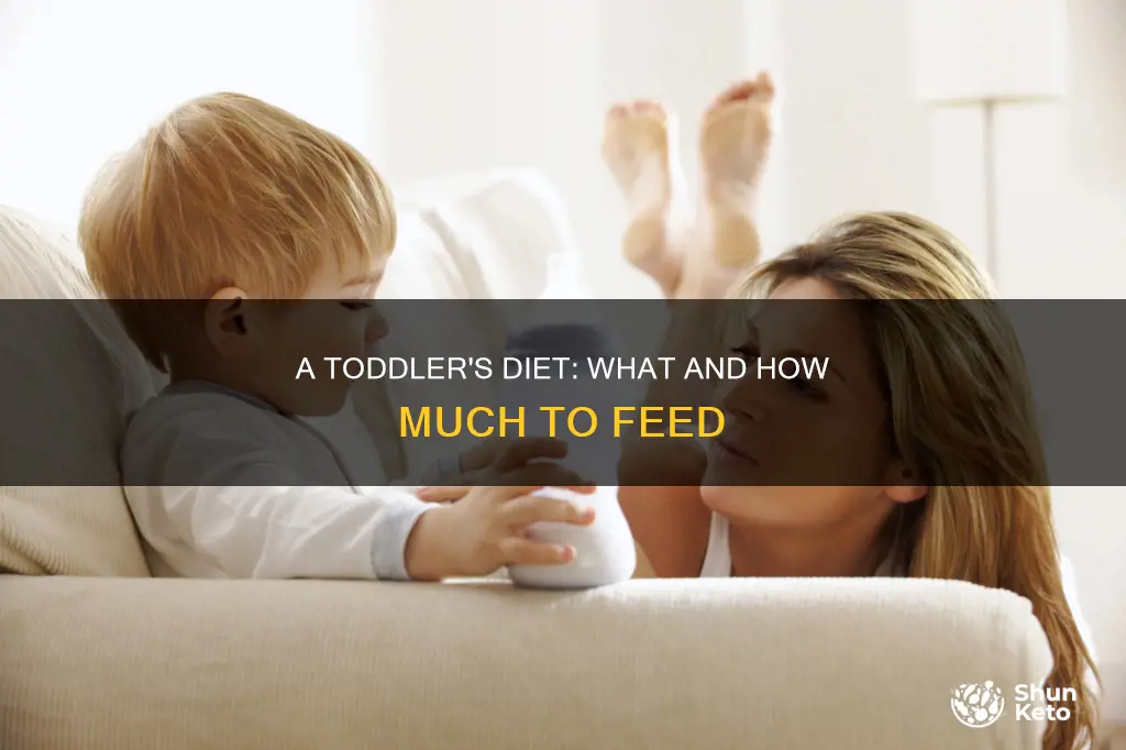 what should a 14 month old diet look like