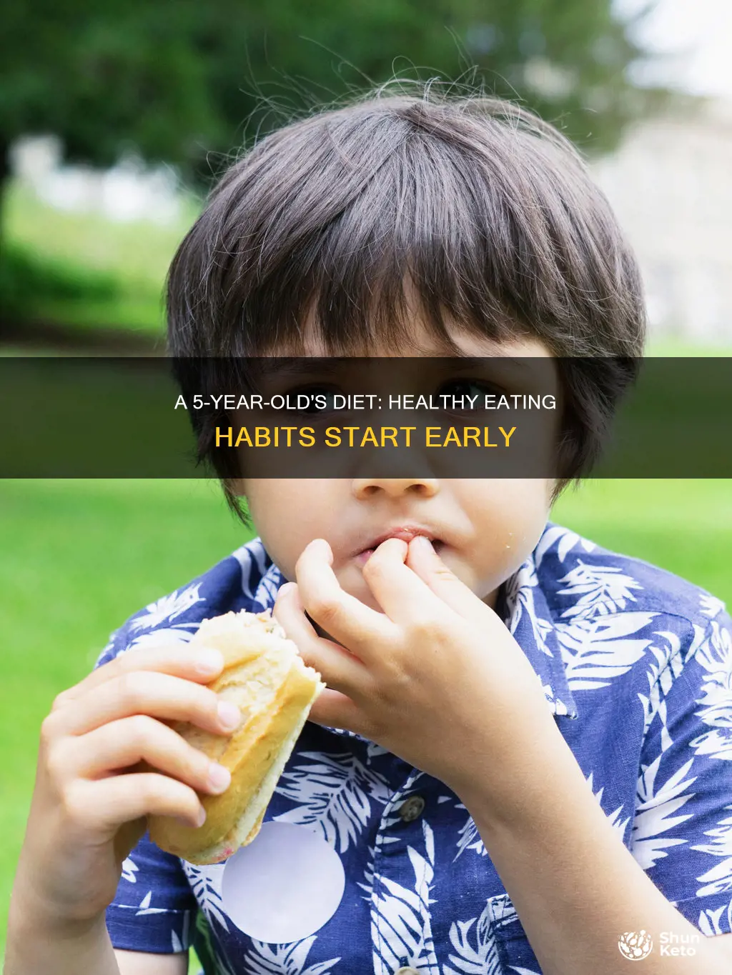 what should a 5 year old diet look like